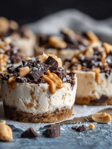 Frozen Greek Yogurt Peanut Butter Bites Recipe You’ll Crave