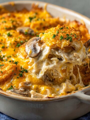 Creamy Chicken Casserole with Cheese Top