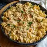 the best crockpot garlic parmesan chicken pasta recipe