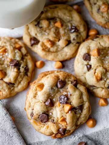 Best Ever Butterscotch Chocolate Chip Cookies