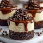Brownie Bottom Mini Cheesecakes Recipe