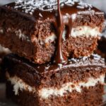 Sourdough Discard Chocolate Coconut Cake Squares