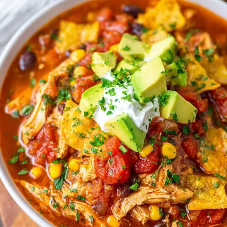 Crockpot Chicken Enchilada Soup