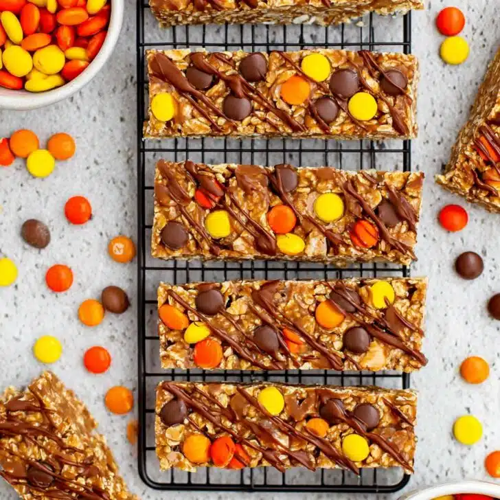 Reese’s Pieces Protein Bars